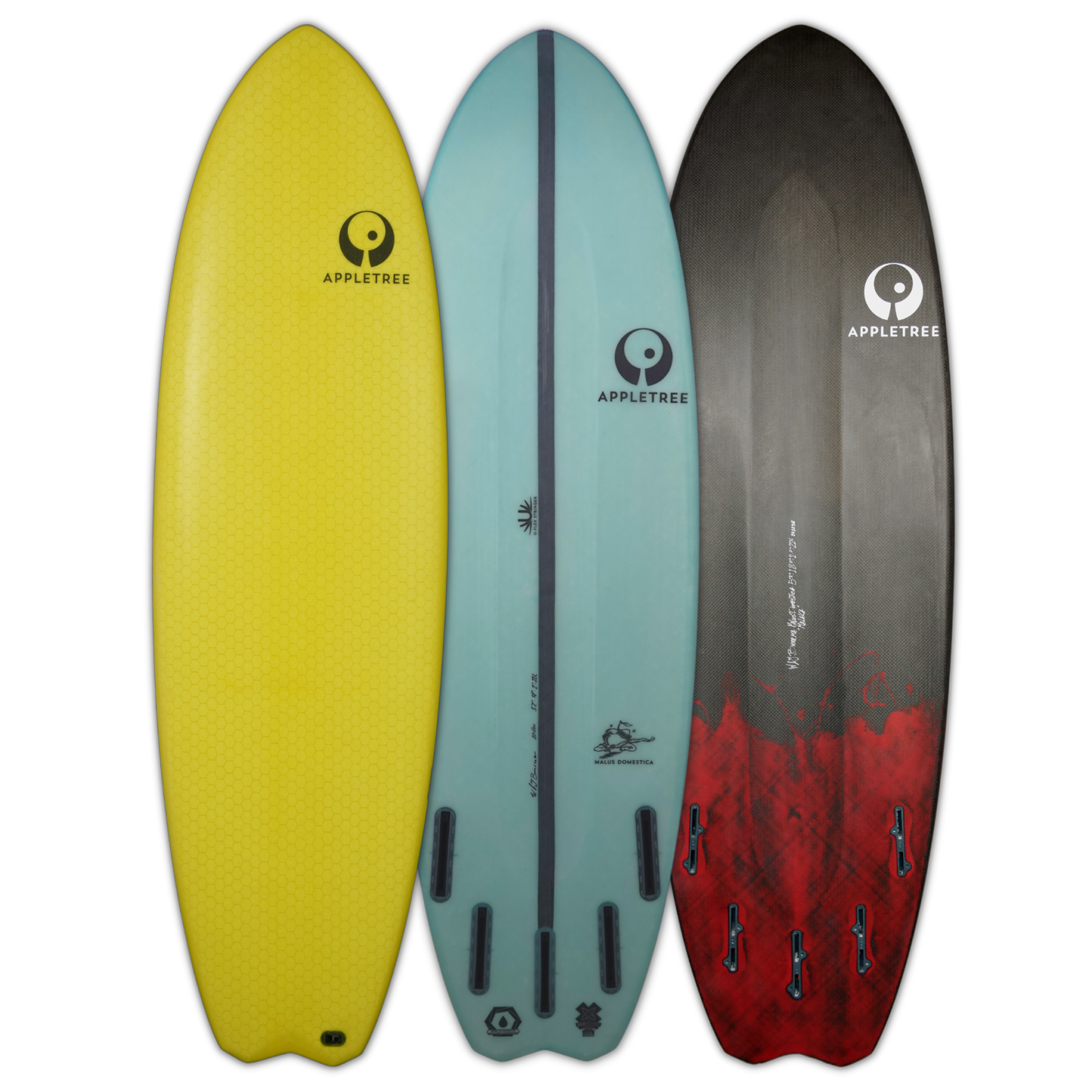 Appletree Malus Domestica Kite Surfboard