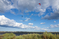 Ozone Edge V12 - 8m Yellow - Ex Demo — Action